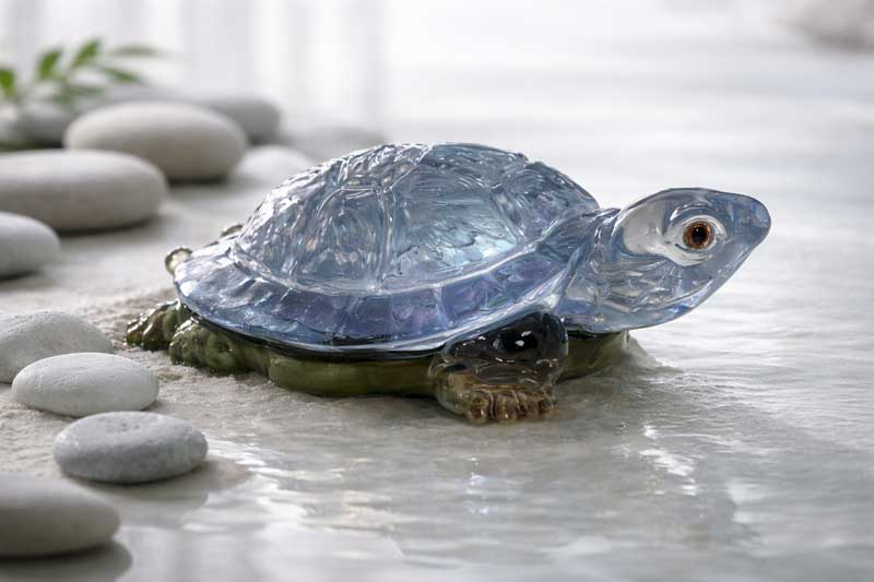 Silver Blue Tide Turtle