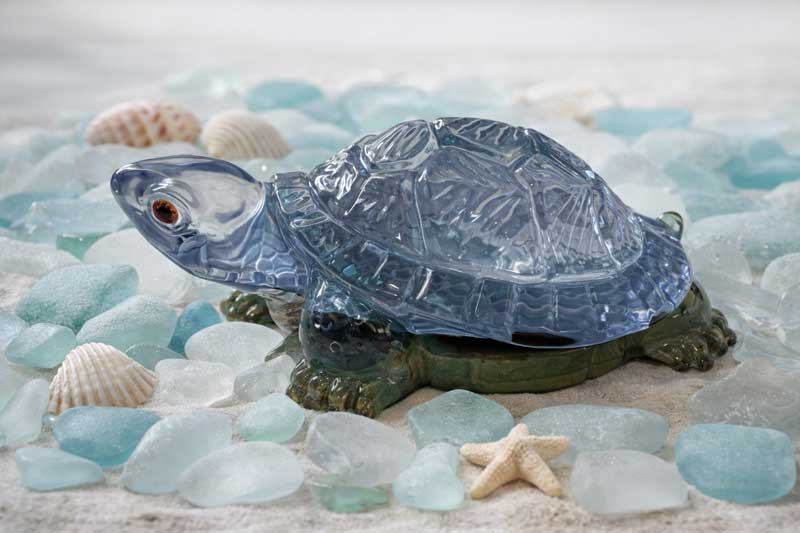 Silver Blue Tide Turtle - Image 2