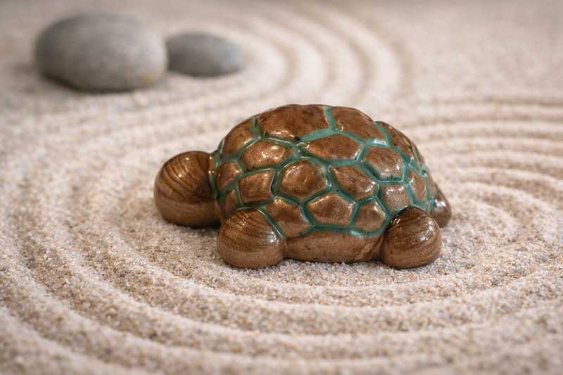 Zen Garden Turtle